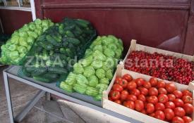 Un nou proiect iniţiat de Ministerul Agriculturii. Fermierii vor primi bani de la stat