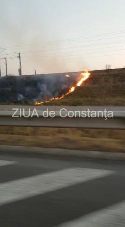 Incendiu de vegetaţie uscată pe A2 (video)