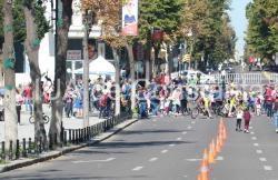 Sondaj de opinie Constănțenii, nemulțumiți de închiderea marilor bulevarde din Constanţa pentru organizarea de evenimente