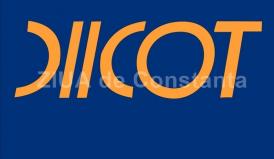 Oficial. DIICOT face precizări importante în cazul de la Caracal