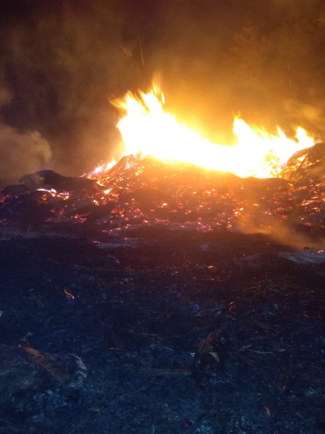 incendiu violent azi noapte la ostrov salvatorii s au luptat 9 ore cu flacarile galerie foto 701722 incendiu violent azi noapte la ostrov salvatorii s au luptat 9 ore cu flacarile galerie foto 701722