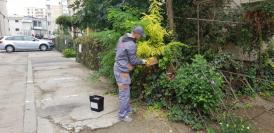 Acțiunile de deratizare, reluate în Constanța (galerie foto)