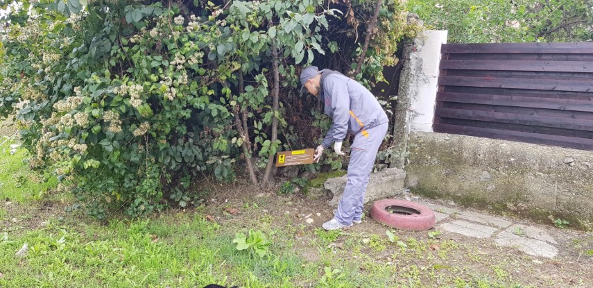 actiunile de deratizare reluate in constanta galerie foto 702141 actiunile de deratizare reluate in constanta galerie foto 702141