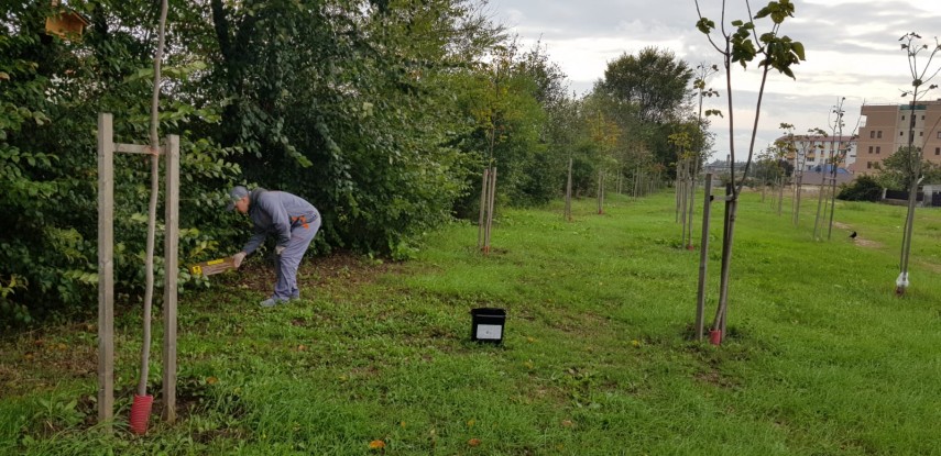 actiunile de deratizare reluate in constanta galerie foto 702141 actiunile de deratizare reluate in constanta galerie foto 702141