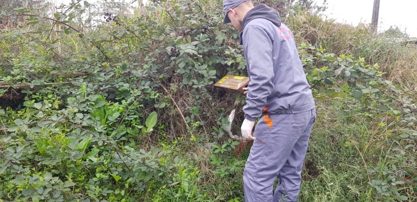 actiunile de deratizare reluate in constanta galerie foto 702141 actiunile de deratizare reluate in constanta galerie foto 702141