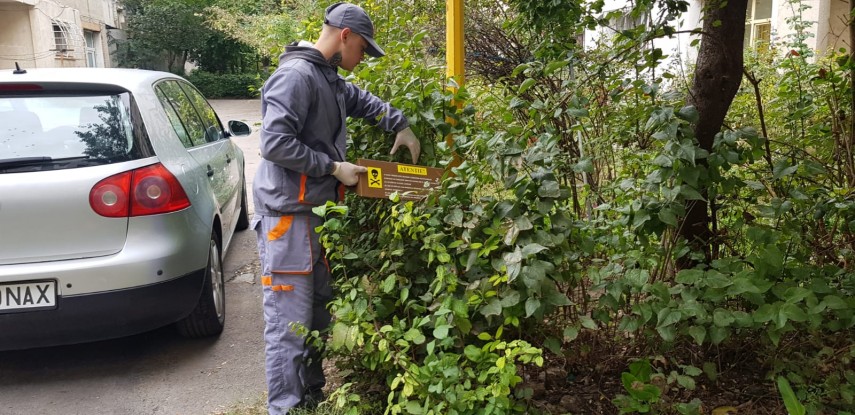 actiunile de deratizare reluate in constanta galerie foto 702141 actiunile de deratizare reluate in constanta galerie foto 702141