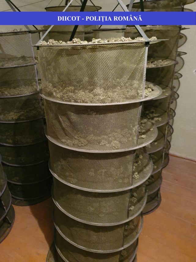 diicot barbati arestati preventiv intr un dosar de trafic de droguri de risc galerie foto 702616 diicot barbati arestati preventiv intr un dosar de trafic de droguri de risc galerie foto 702616