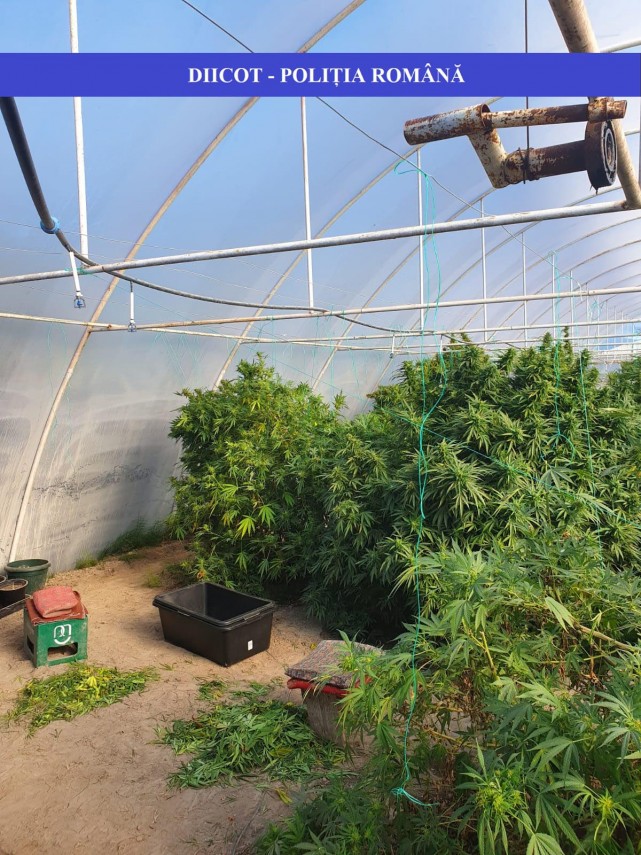 diicot barbati arestati preventiv intr un dosar de trafic de droguri de risc galerie foto 702616 diicot barbati arestati preventiv intr un dosar de trafic de droguri de risc galerie foto 702616