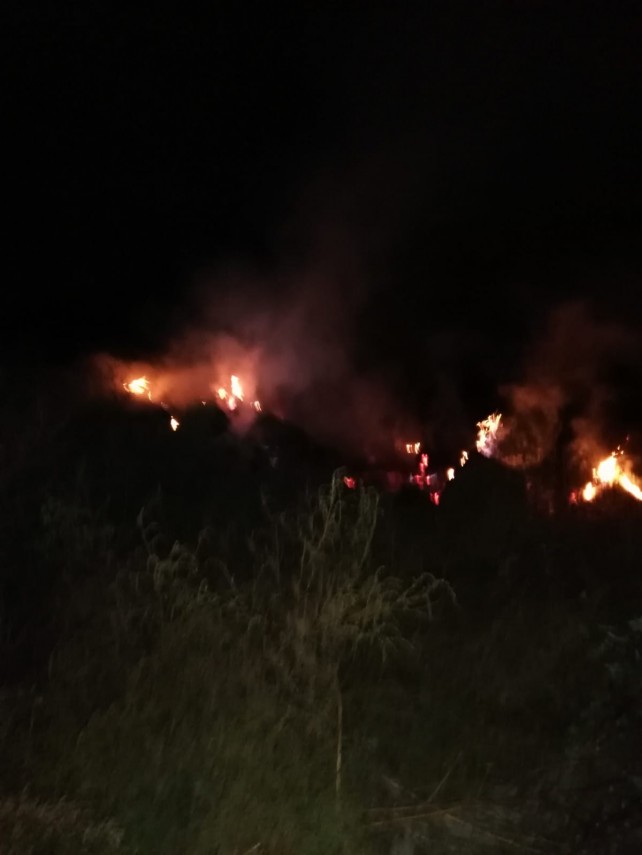 incendiu in zona localitatii murighiol pompierii intervin 702744 incendiu in zona localitatii murighiol pompierii intervin 702744