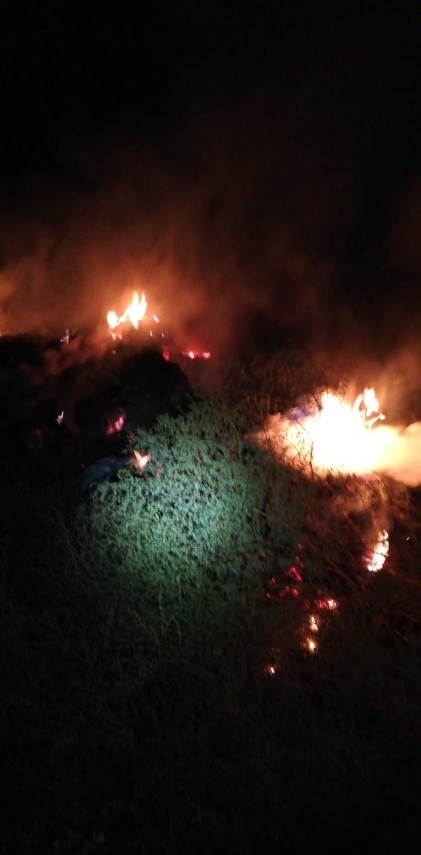 incendiu in zona localitatii murighiol pompierii intervin 702744 incendiu in zona localitatii murighiol pompierii intervin 702744