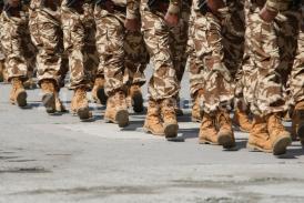 Detașamentul  „Carpathian Pumas” își începe misiunile în teatrul de operații Mali