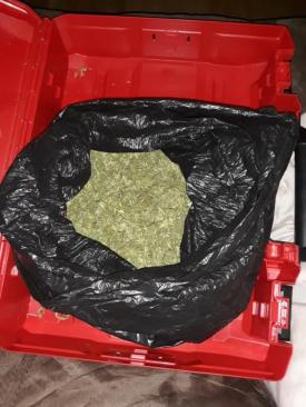 UPDATE Descinderi într-un dosar de trafic de droguri şi cămătărie în Timiș și Bihor (galerie foto)