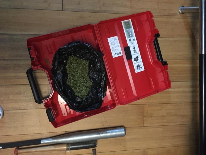 descinderi la traficantii de cocaina din timis si bihor 703327 descinderi la traficantii de cocaina din timis si bihor 703327