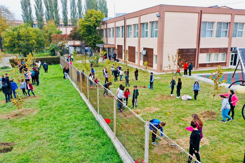 primaria navodari a demarat campania navodari oras verde galerie foto 703558 primaria navodari a demarat campania navodari oras verde galerie foto 703558