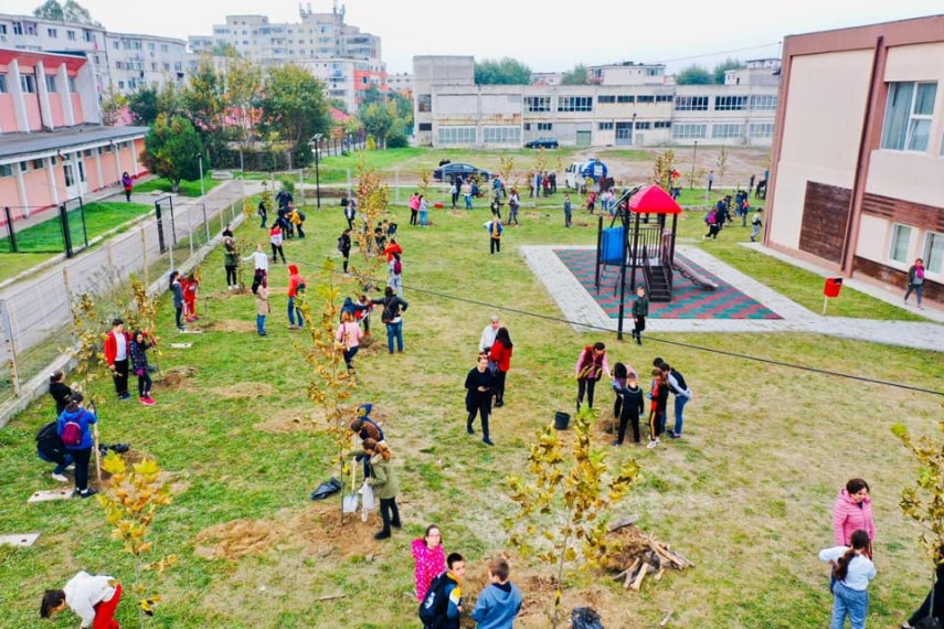 primaria navodari a demarat campania navodari oras verde galerie foto 703558 primaria navodari a demarat campania navodari oras verde galerie foto 703558