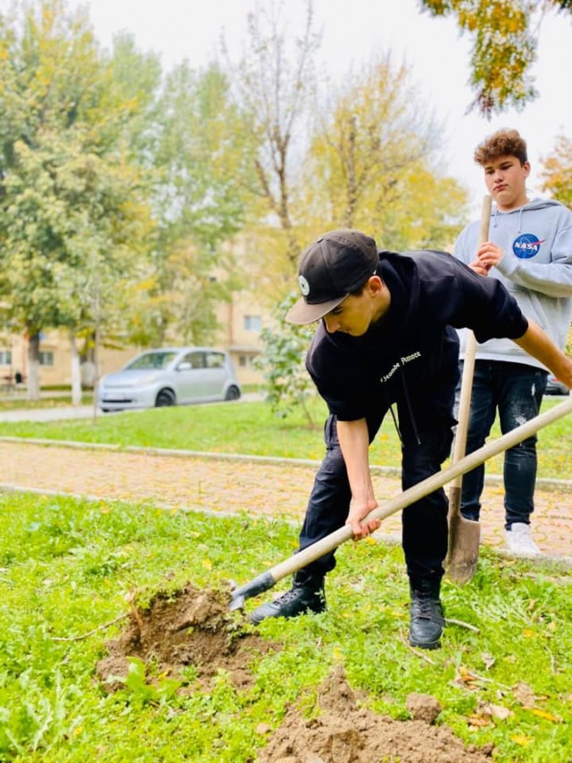primaria navodari a demarat campania navodari oras verde galerie foto 703558 primaria navodari a demarat campania navodari oras verde galerie foto 703558