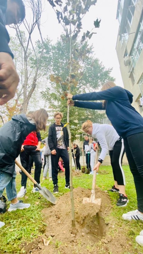 primaria navodari a demarat campania navodari oras verde galerie foto 703558 primaria navodari a demarat campania navodari oras verde galerie foto 703558