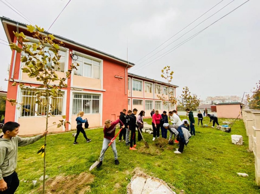primaria navodari a demarat campania navodari oras verde galerie foto 703558 primaria navodari a demarat campania navodari oras verde galerie foto 703558
