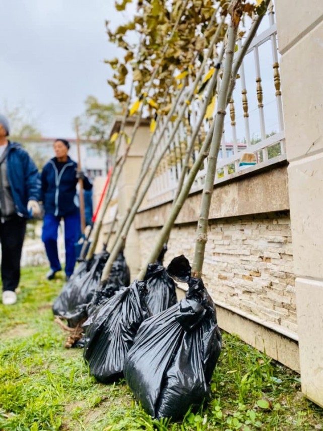 primaria navodari a demarat campania navodari oras verde galerie foto 703558 primaria navodari a demarat campania navodari oras verde galerie foto 703558