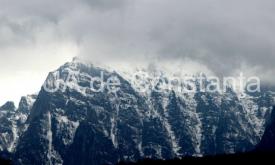 jobjogjoy.com Împuternicire