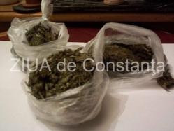 Sondaj de opinie Sunteţi de acord cu legalizarea în România a canabisului, în scopuri medicale?