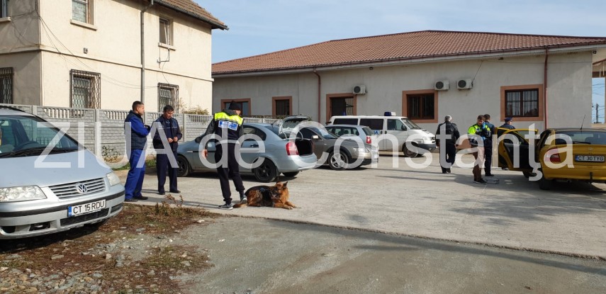 judetul constanta continua cautarile copilului din localitatea pecineaga galerie foto 704220 judetul constanta continua cautarile copilului din localitatea pecineaga galerie foto 704220