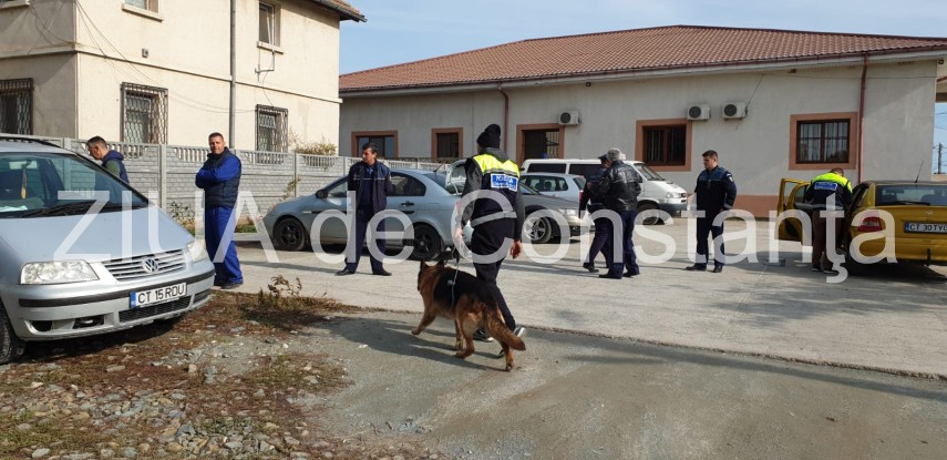 judetul constanta continua cautarile copilului din localitatea pecineaga galerie foto 704220 judetul constanta continua cautarile copilului din localitatea pecineaga galerie foto 704220