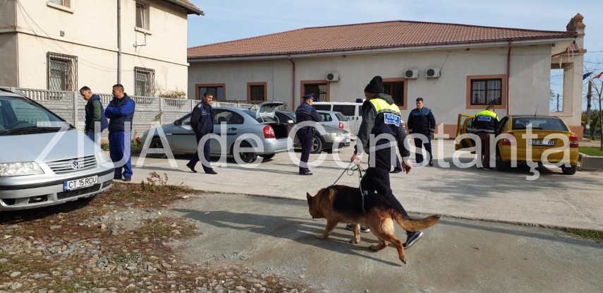 judetul constanta continua cautarile copilului din localitatea pecineaga galerie foto 704220 judetul constanta continua cautarile copilului din localitatea pecineaga galerie foto 704220