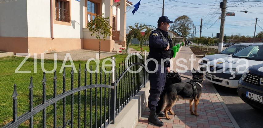judetul constanta continua cautarile copilului din localitatea pecineaga galerie foto 704220 judetul constanta continua cautarile copilului din localitatea pecineaga galerie foto 704220