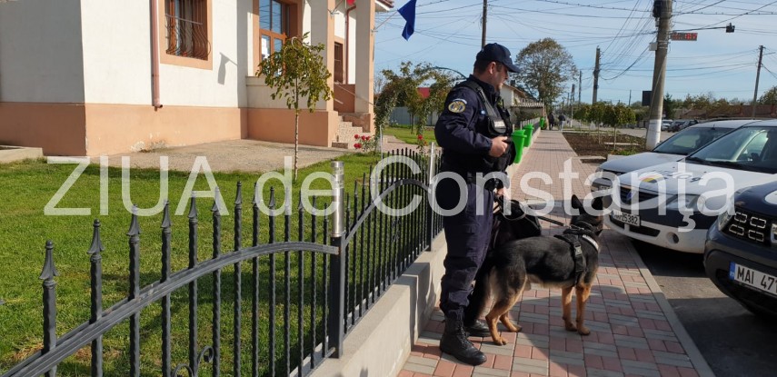 judetul constanta continua cautarile copilului din localitatea pecineaga galerie foto 704220 judetul constanta continua cautarile copilului din localitatea pecineaga galerie foto 704220