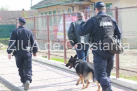 Județul Constanța Continuă căutarile copilului din localitatea Pecineaga (galerie foto+video)             