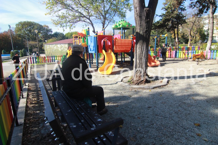 fotoreportaj pasarile au pus stapanire pe parcurile si locurile de joaca din constanta v ati lasa copiii fotoreportaj pasarile au pus stapanire pe parcurile si locurile de joaca din constanta v ati lasa copiii