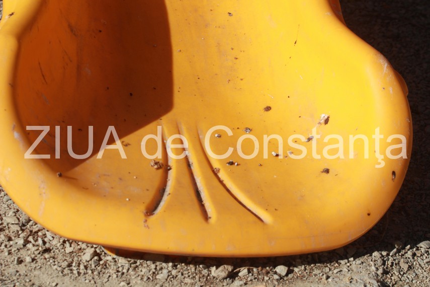 fotoreportaj pasarile au pus stapanire pe parcurile si locurile de joaca din constanta v ati lasa copiii fotoreportaj pasarile au pus stapanire pe parcurile si locurile de joaca din constanta v ati lasa copiii