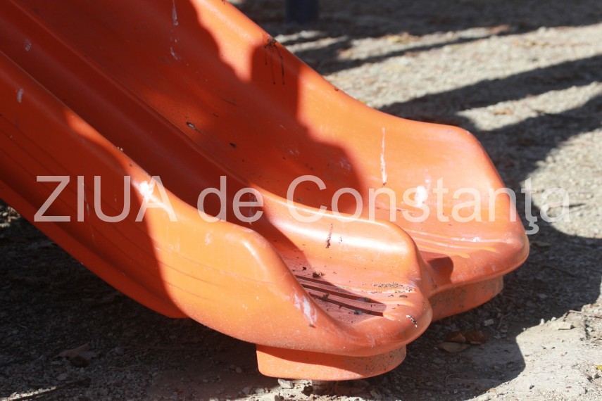 fotoreportaj pasarile au pus stapanire pe parcurile si locurile de joaca din constanta v ati lasa copiii fotoreportaj pasarile au pus stapanire pe parcurile si locurile de joaca din constanta v ati lasa copiii