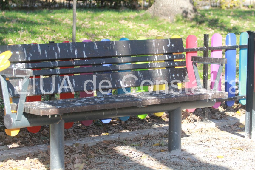 fotoreportaj pasarile au pus stapanire pe parcurile si locurile de joaca din constanta v ati lasa copiii fotoreportaj pasarile au pus stapanire pe parcurile si locurile de joaca din constanta v ati lasa copiii