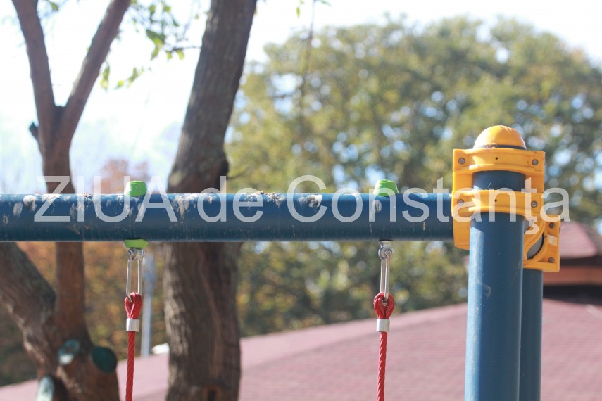 fotoreportaj pasarile au pus stapanire pe parcurile si locurile de joaca din constanta v ati lasa copiii fotoreportaj pasarile au pus stapanire pe parcurile si locurile de joaca din constanta v ati lasa copiii