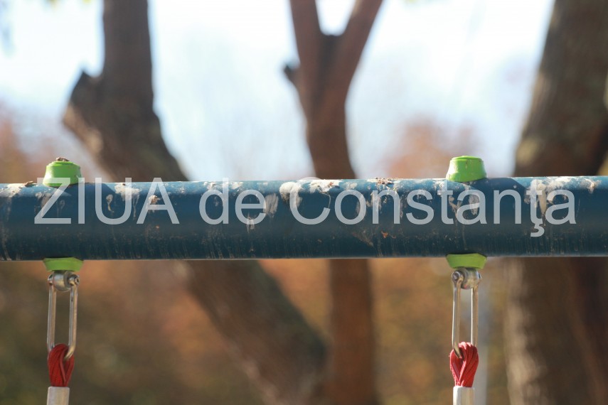 fotoreportaj pasarile au pus stapanire pe parcurile si locurile de joaca din constanta v ati lasa copiii fotoreportaj pasarile au pus stapanire pe parcurile si locurile de joaca din constanta v ati lasa copiii