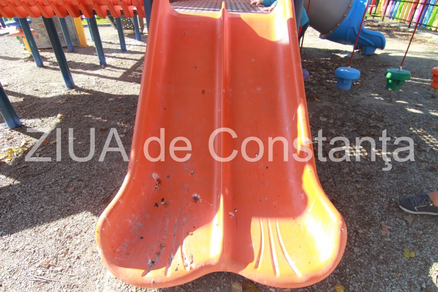 fotoreportaj pasarile au pus stapanire pe parcurile si locurile de joaca din constanta v ati lasa copiii fotoreportaj pasarile au pus stapanire pe parcurile si locurile de joaca din constanta v ati lasa copiii