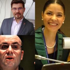 UPDATE Ana Birchall, Cozmin Gușă și primarul Bacăului, excluși din PSD. Declarații    