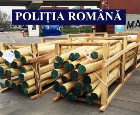Material lemnos din patru containere din Porturile Constanța și Constanța Sud, confiscate de polițiști