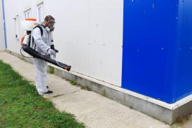 RAEDPP Constanța, dezinsecție, dezinfecție și deratizare în Campusul Social Henri Coandă (galerie foto) 