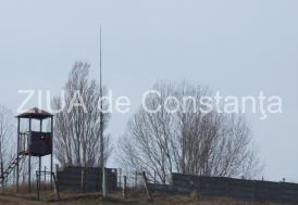 Batalionul de Sprijin al Forțelor Navale Constanța din MApN angajează șofer