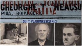 #citeșteDobrogea Familia Neacșu și investițiile făcute în Medgidia (galerie foto)