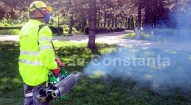 Firmele de dezinsecție și deratizare, în atenția Poliției Române