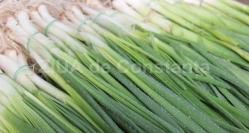 Beneficiile consumului de ceapă 