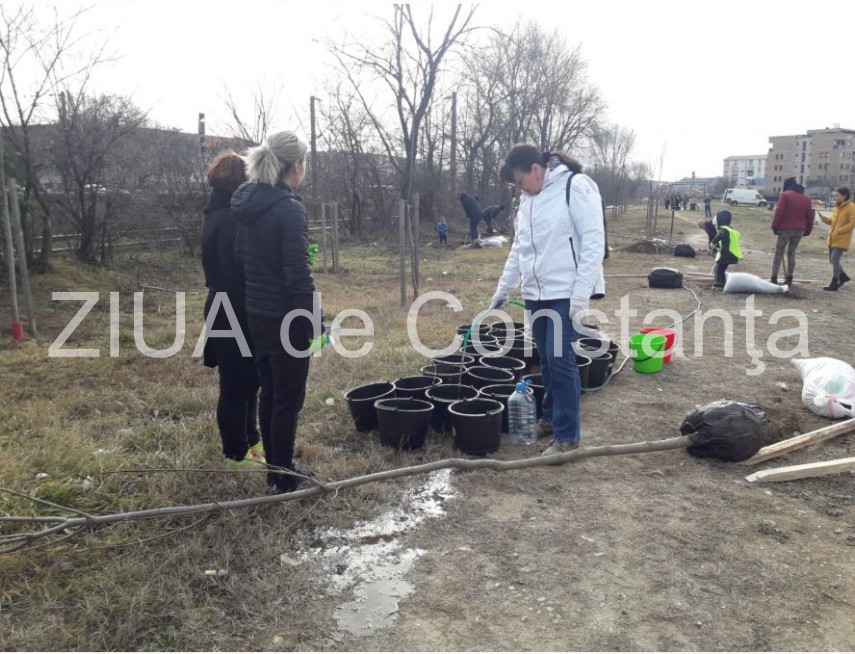 fapte nu vorbe constanta restart in actiune din nou galerie foto video 711210