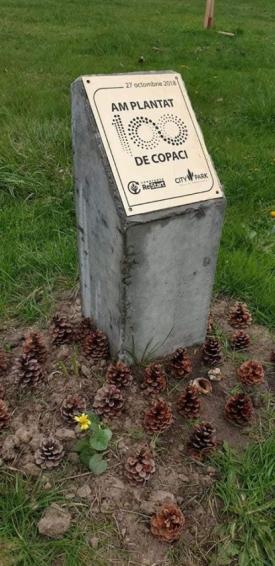 Constănţeanul supărat  Asociaţia „Constanţa Restart“ denunţă actul de vandalism din parcul Tăbăcărie (galerie foto)