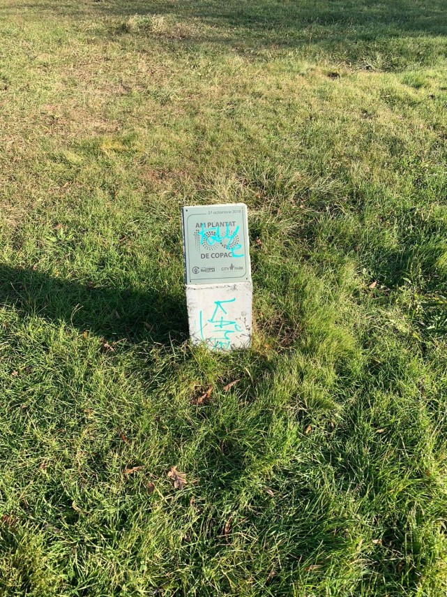 constanteanul suparat asociatia constanta restart denunta actul de vandalism din parcul tabacarie galerie constanteanul suparat asociatia constanta restart denunta actul de vandalism din parcul tabacarie galerie