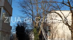 Incendiu pe bulevardul I.C. Brătianu din Constanța. Intervin pompierii (galerie foto+video)  