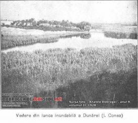 Un aventurier american în Dobrogea anului 1925 (II) Jurnalul lui Negley Farson şi haiducii Deltei